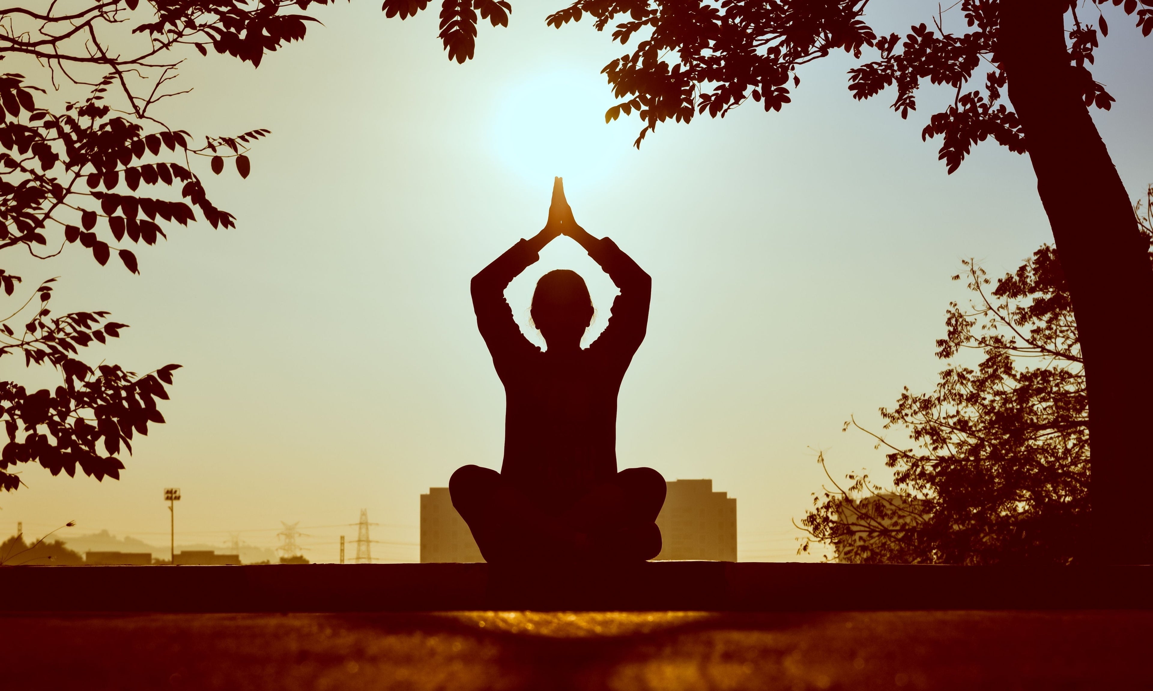 Chaussettes de yoga 